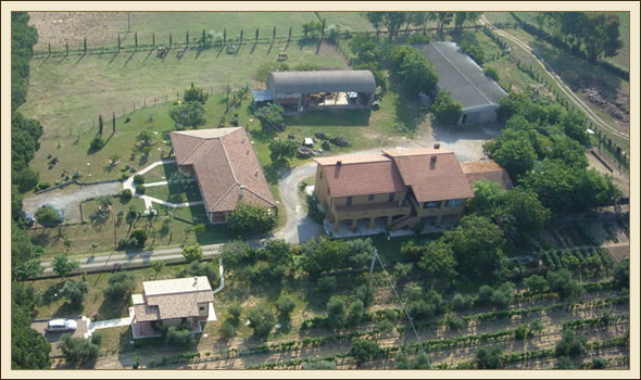 Agriturismo Molinaccio