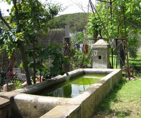 Molinaccio agriturismo Alberese il pozzo dell' agriturismo